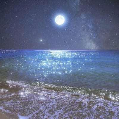 หนุ่ย อำพล avatar