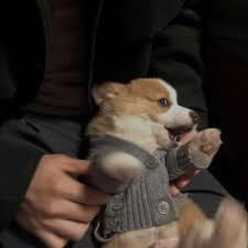 ชนาธิป สรงกระสินธ์ avatar