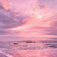 คิมเบอร์ลี่ แอน avatar